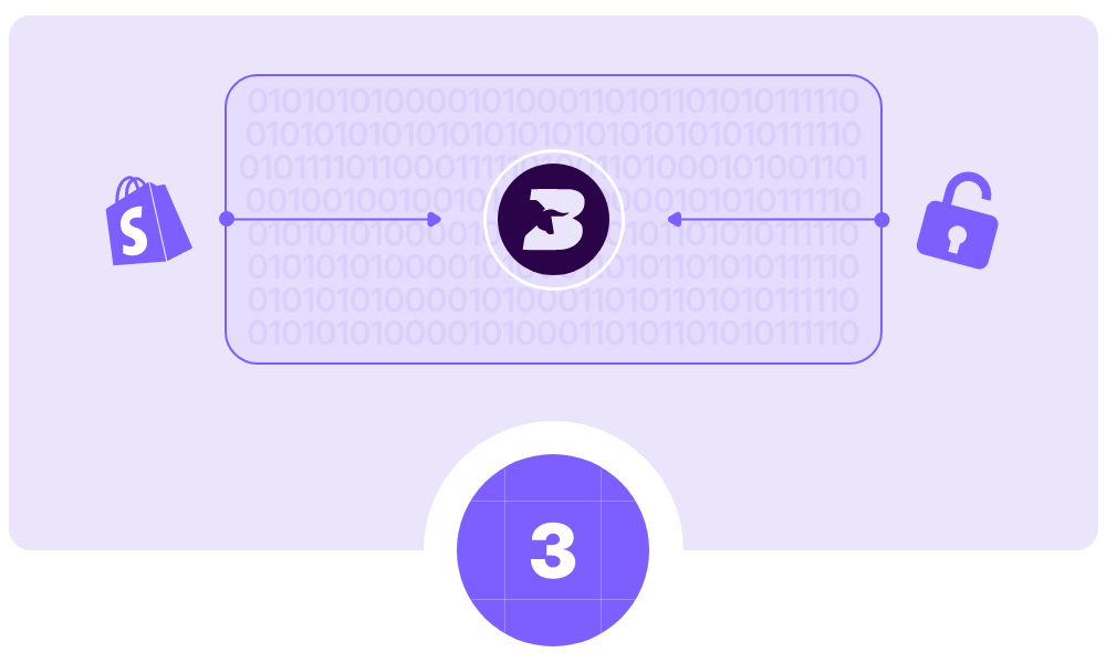 step 3 of shopify speed process